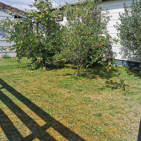 Gibson Court Motel Rotorua Ngoại thất bức ảnh